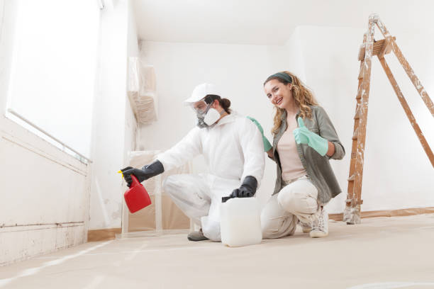  Blplay, AL Mold Removal Pros